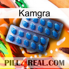 Kamgra viagra2